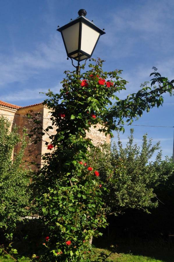 Вілла El Jardin De Manuela Santibanez del Val Екстер'єр фото